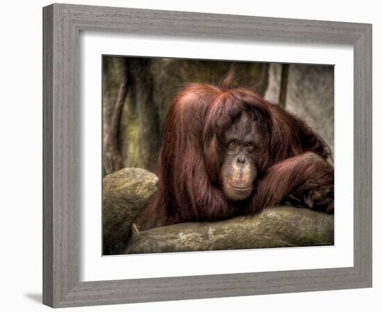 Sophia-Stephen Arens-Framed Photographic Print