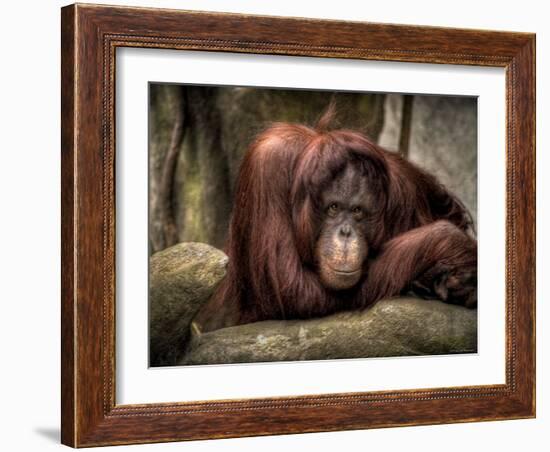 Sophia-Stephen Arens-Framed Photographic Print