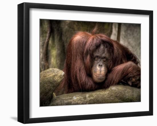 Sophia-Stephen Arens-Framed Photographic Print