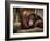 Sophia-Stephen Arens-Framed Photographic Print