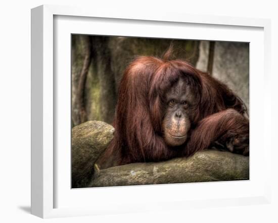 Sophia-Stephen Arens-Framed Photographic Print