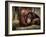 Sophia-Stephen Arens-Framed Photographic Print