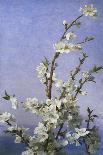 Blossom-Sophie Anderson-Giclee Print