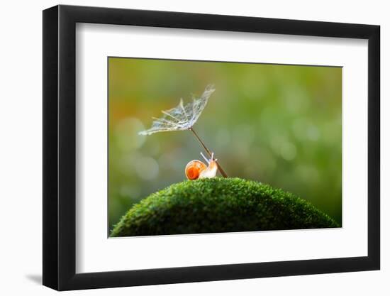 Photographic Print, , large