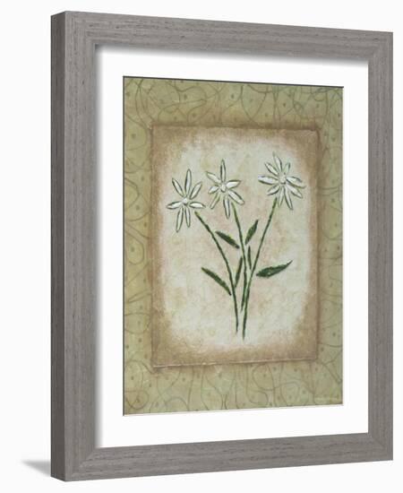 Sophistica II-Herb Dickinson-Framed Photographic Print