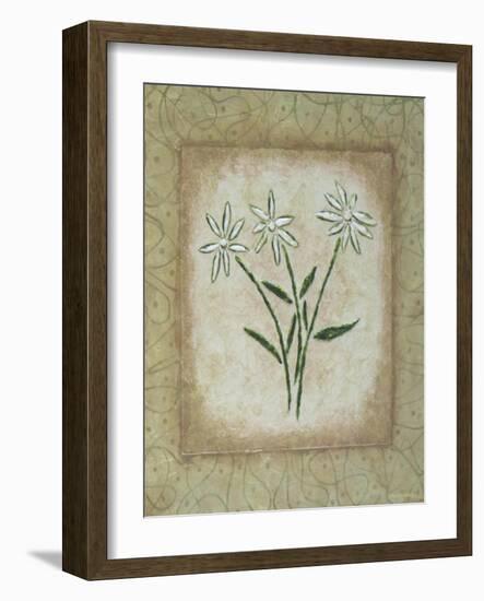 Sophistica II-Herb Dickinson-Framed Photographic Print