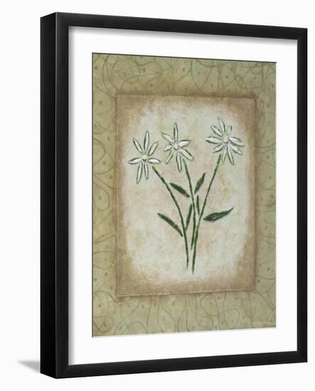 Sophistica II-Herb Dickinson-Framed Photographic Print