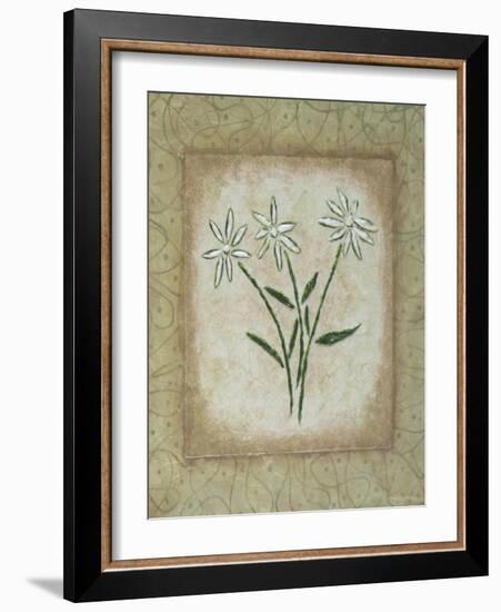 Sophistica II-Herb Dickinson-Framed Photographic Print