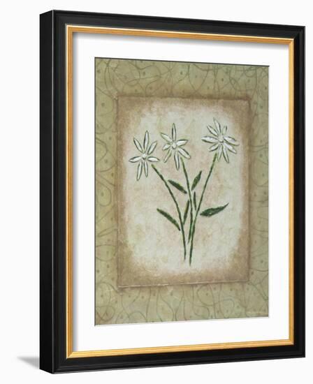 Sophistica II-Herb Dickinson-Framed Photographic Print