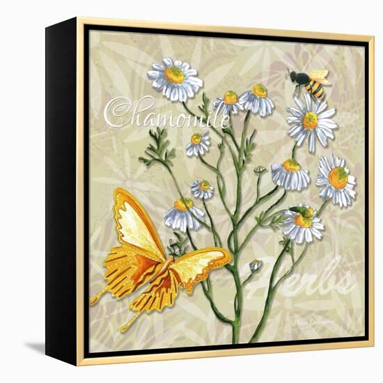 Sophisticated Elegant Herbs Spices Chamomile Daisy-Megan Aroon Duncanson-Framed Stretched Canvas
