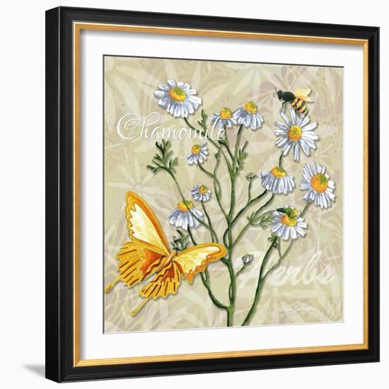 Sophisticated Elegant Herbs Spices Chamomile Daisy-Megan Aroon Duncanson-Framed Art Print