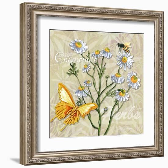 Sophisticated Elegant Herbs Spices Chamomile Daisy-Megan Aroon Duncanson-Framed Art Print