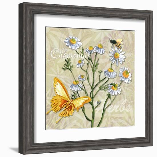 Sophisticated Elegant Herbs Spices Chamomile Daisy-Megan Aroon Duncanson-Framed Art Print