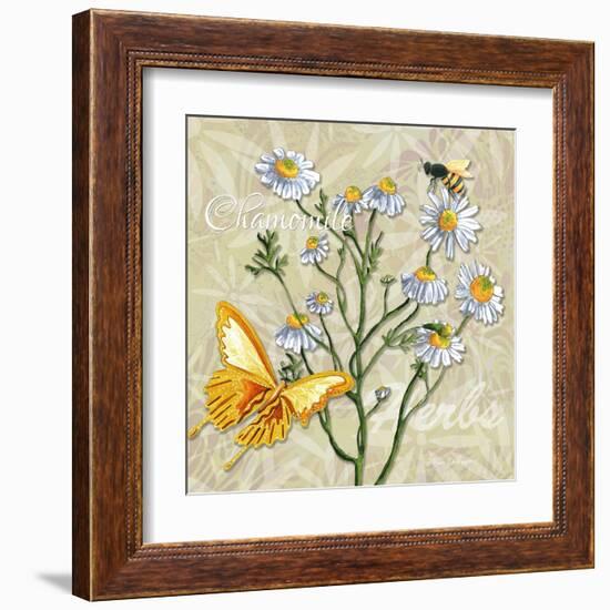 Sophisticated Elegant Herbs Spices Chamomile Daisy-Megan Aroon Duncanson-Framed Art Print