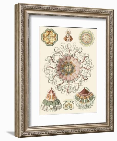 Sophisticated Sealife II-Ernst Haeckel-Framed Art Print