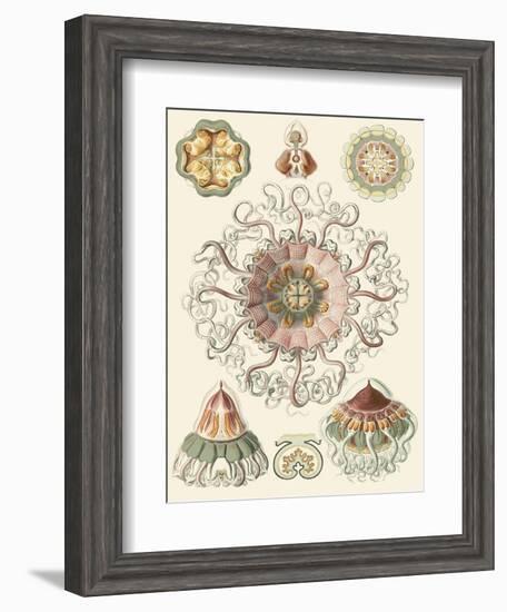 Sophisticated Sealife II-Ernst Haeckel-Framed Art Print