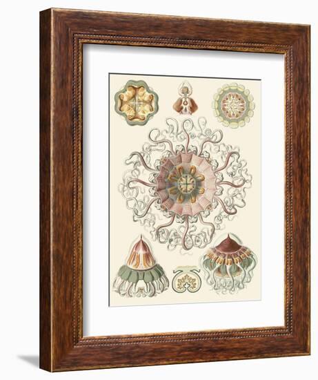 Sophisticated Sealife II-Ernst Haeckel-Framed Art Print