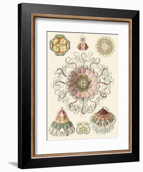 Sophisticated Sealife II-Ernst Haeckel-Framed Art Print