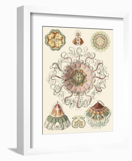 Sophisticated Sealife II-Ernst Haeckel-Framed Art Print