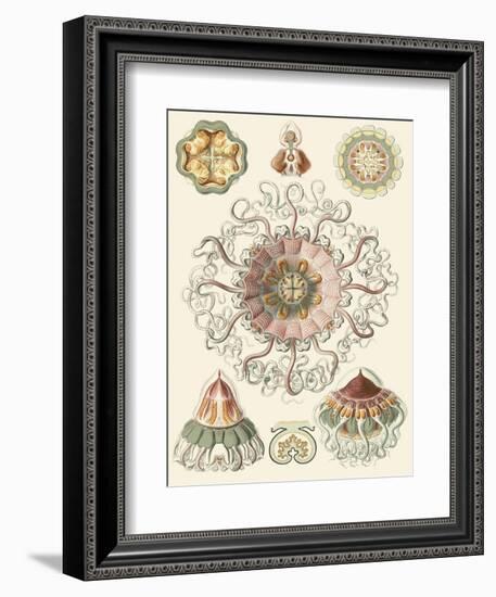 Sophisticated Sealife II-Ernst Haeckel-Framed Art Print