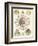 Sophisticated Sealife II-Ernst Haeckel-Framed Art Print