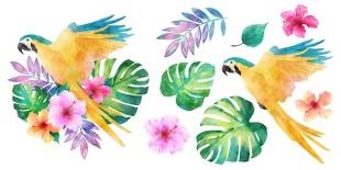 Watercolor Tropical Flower Ornament Decorated with Macaw Bird-SophonK-Framed Premier Image Canvas