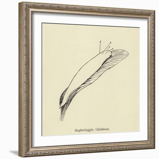 Sophtsluggia Glutinosa-Edward Lear-Framed Giclee Print