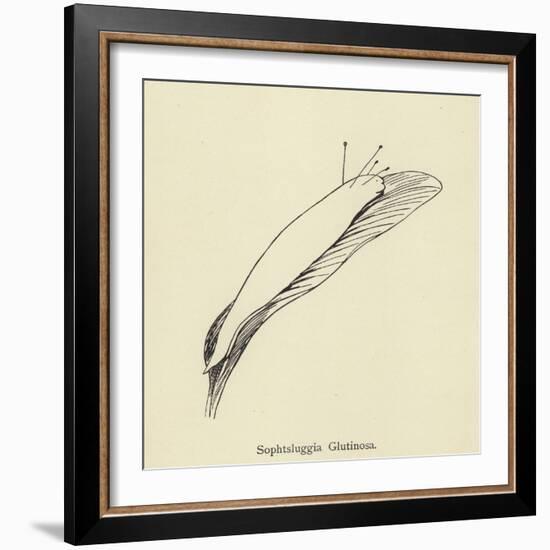 Sophtsluggia Glutinosa-Edward Lear-Framed Giclee Print