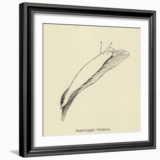 Sophtsluggia Glutinosa-Edward Lear-Framed Giclee Print