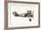 Sopwith 7F 1 Snipe-English School-Framed Giclee Print