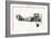 Sopwith 7F 1 Snipe-English School-Framed Giclee Print