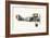 Sopwith 7F 1 Snipe-English School-Framed Giclee Print