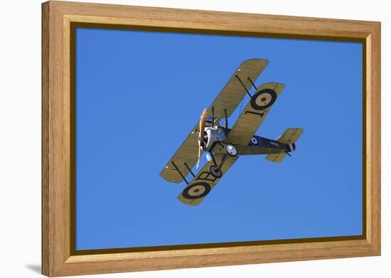 Sopwith Camel, WWI Fighter Plane, War Plane-David Wall-Framed Premier Image Canvas