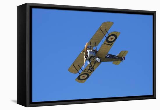 Sopwith Camel, WWI Fighter Plane, War Plane-David Wall-Framed Premier Image Canvas