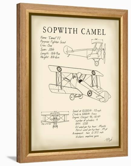 Sopwith Camel-Tara Friel-Framed Stretched Canvas