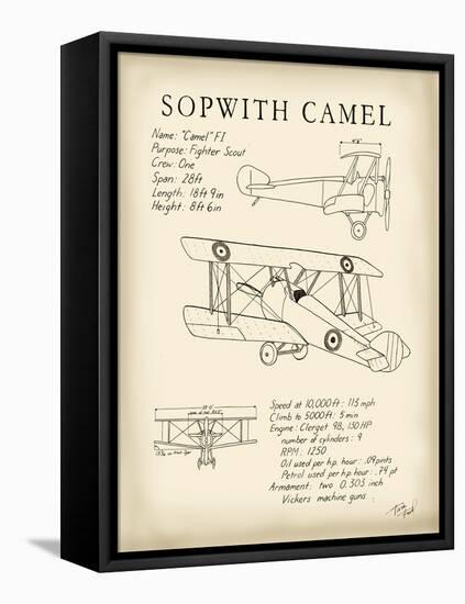 Sopwith Camel-Tara Friel-Framed Stretched Canvas