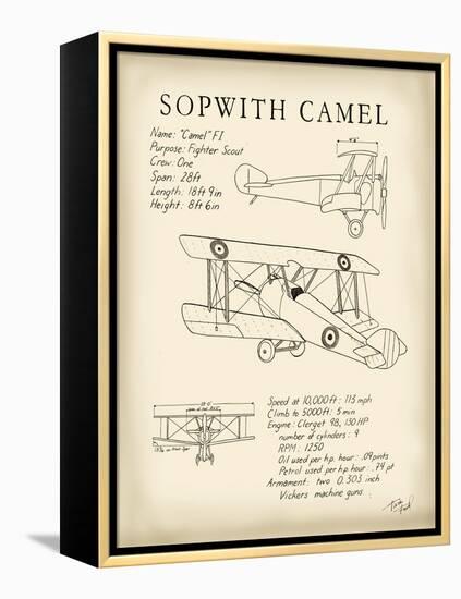 Sopwith Camel-Tara Friel-Framed Stretched Canvas