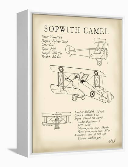 Sopwith Camel-Tara Friel-Framed Stretched Canvas