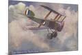 Giclee Print