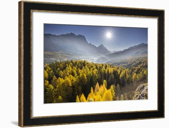 Sorapiss, Larches, Sun, Cortina D'Ampezzo, Veneto, the Dolomites, Italy-Rainer Mirau-Framed Photographic Print