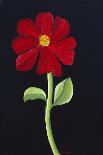 Red Poppy-Soraya Chemaly-Giclee Print