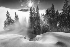A Winter Tale !-Sorin Onisor-Photographic Print