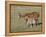 Sorrel Mare with Chestnut Filly, Pryor Mountains, Montana, USA-Carol Walker-Framed Premier Image Canvas