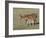 Sorrel Mare with Chestnut Filly, Pryor Mountains, Montana, USA-Carol Walker-Framed Photographic Print