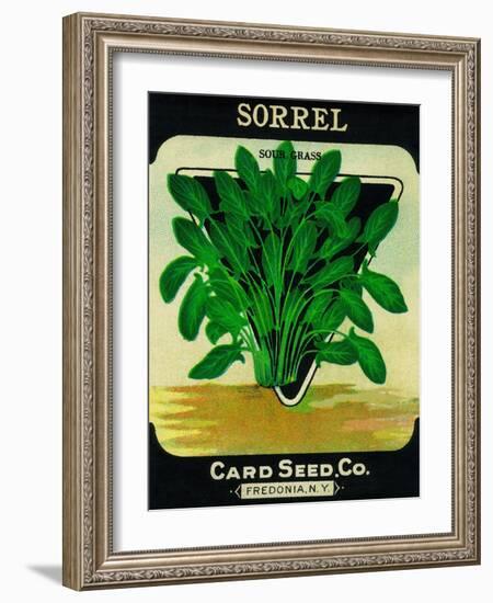 Sorrel Seed Packet-Lantern Press-Framed Art Print