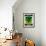 Sorrel Seed Packet-Lantern Press-Framed Art Print displayed on a wall