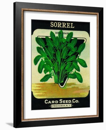 Sorrel Seed Packet-Lantern Press-Framed Art Print