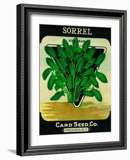 Sorrel Seed Packet-Lantern Press-Framed Art Print