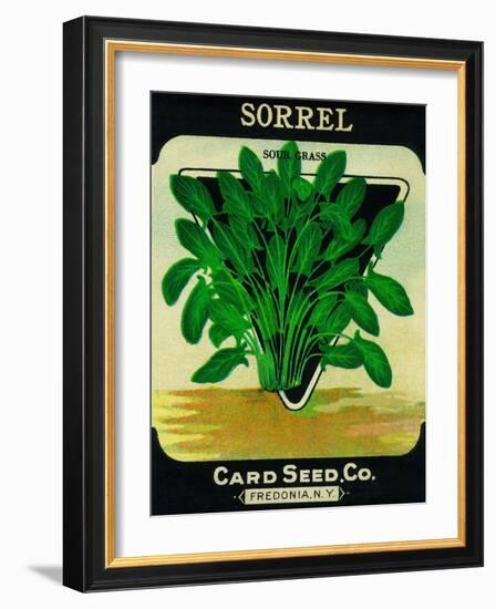 Sorrel Seed Packet-Lantern Press-Framed Art Print