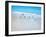 Sorrento Gulls-Craig Trewin Penny-Framed Premium Giclee Print